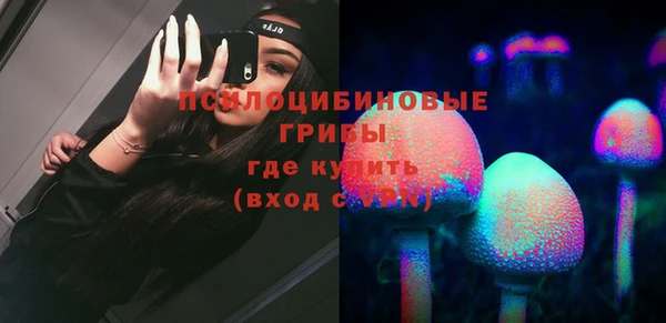 a pvp Алзамай