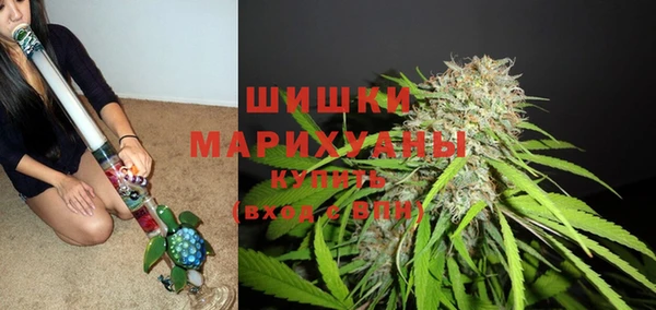 apvp Арсеньев