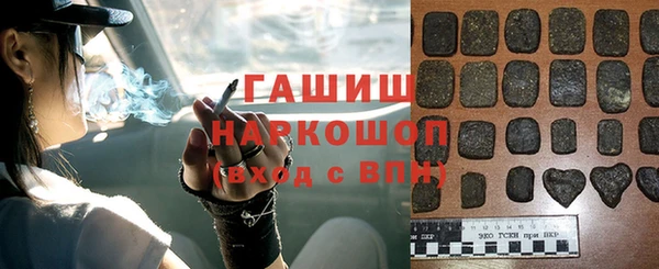 шишки Слюдянка