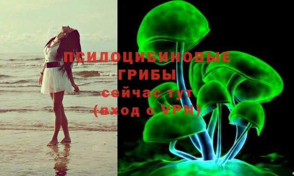 спиды Дегтярск