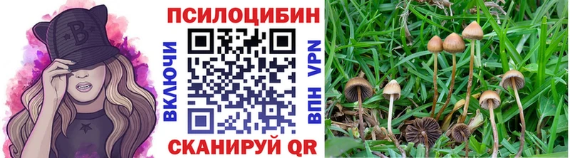 где купить наркоту  KRAKEN зеркало  Псилоцибиновые грибы MAGIC MUSHROOMS  Калязин 